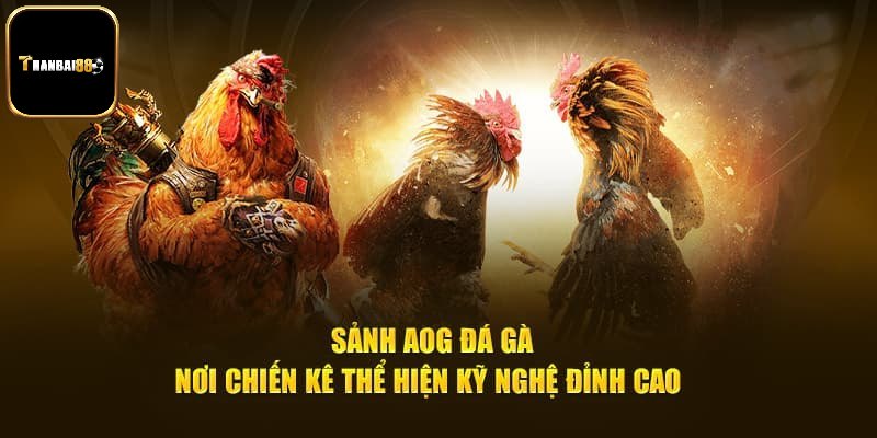 AOG - Sảnh đá gà hot nhất thị trường