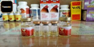 Các Loại Thuốc Bổ Cho Gà Đá Khỏe Sung Sức Bạn Nên Biết