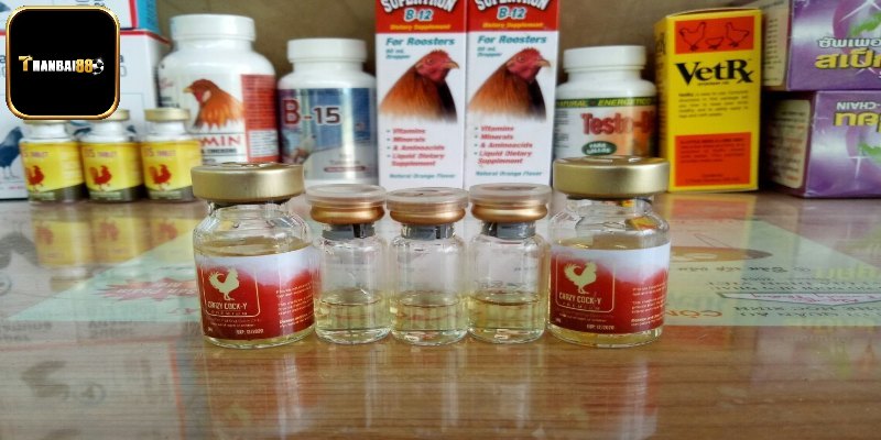 Các Loại Thuốc Bổ Cho Gà Đá Khỏe Sung Sức Bạn Nên Biết