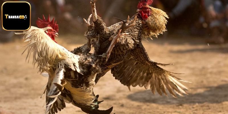 Dễ kiếm tiền trở thành tỷ phú