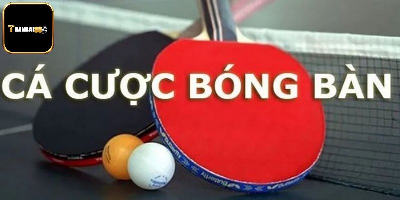 Khái quát hình thức chơi bóng bàn