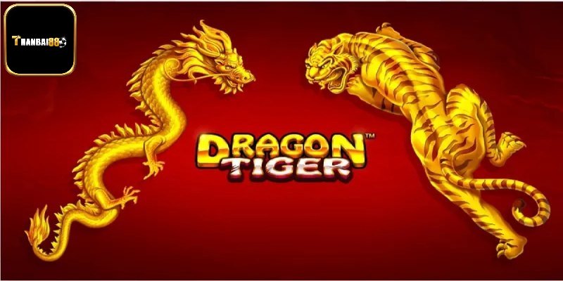 Mẹo Chơi Rồng Hổ Thắng Đậm Rinh Thưởng Lớn Tại Thanbai88