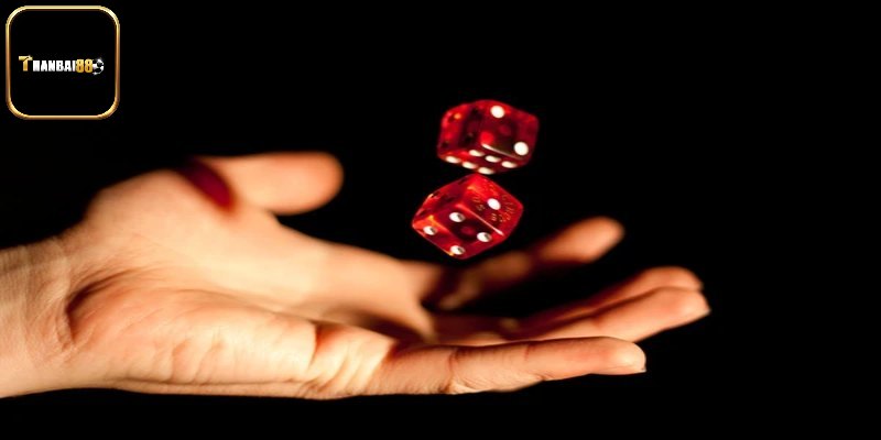 Tổng quan về trò chơi xí ngầu