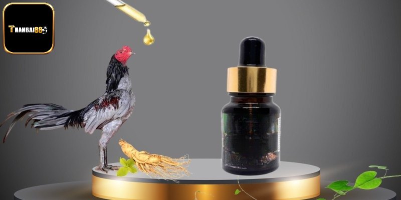 Vai trò của thuốc bổ đối với chiến kê
