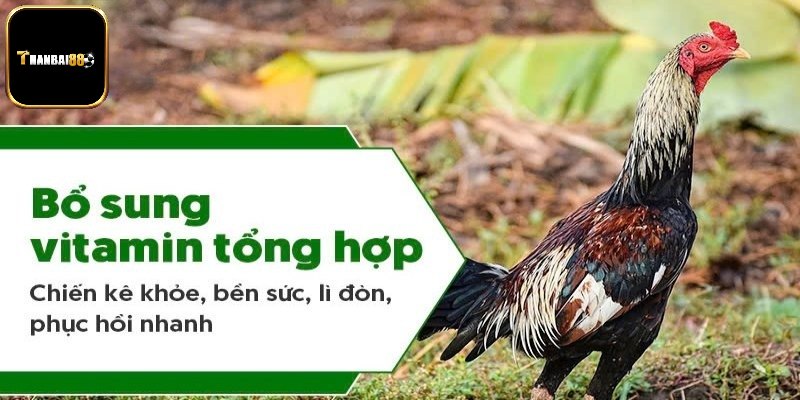Vitamin một trong các loại thuốc bổ cho gà đá